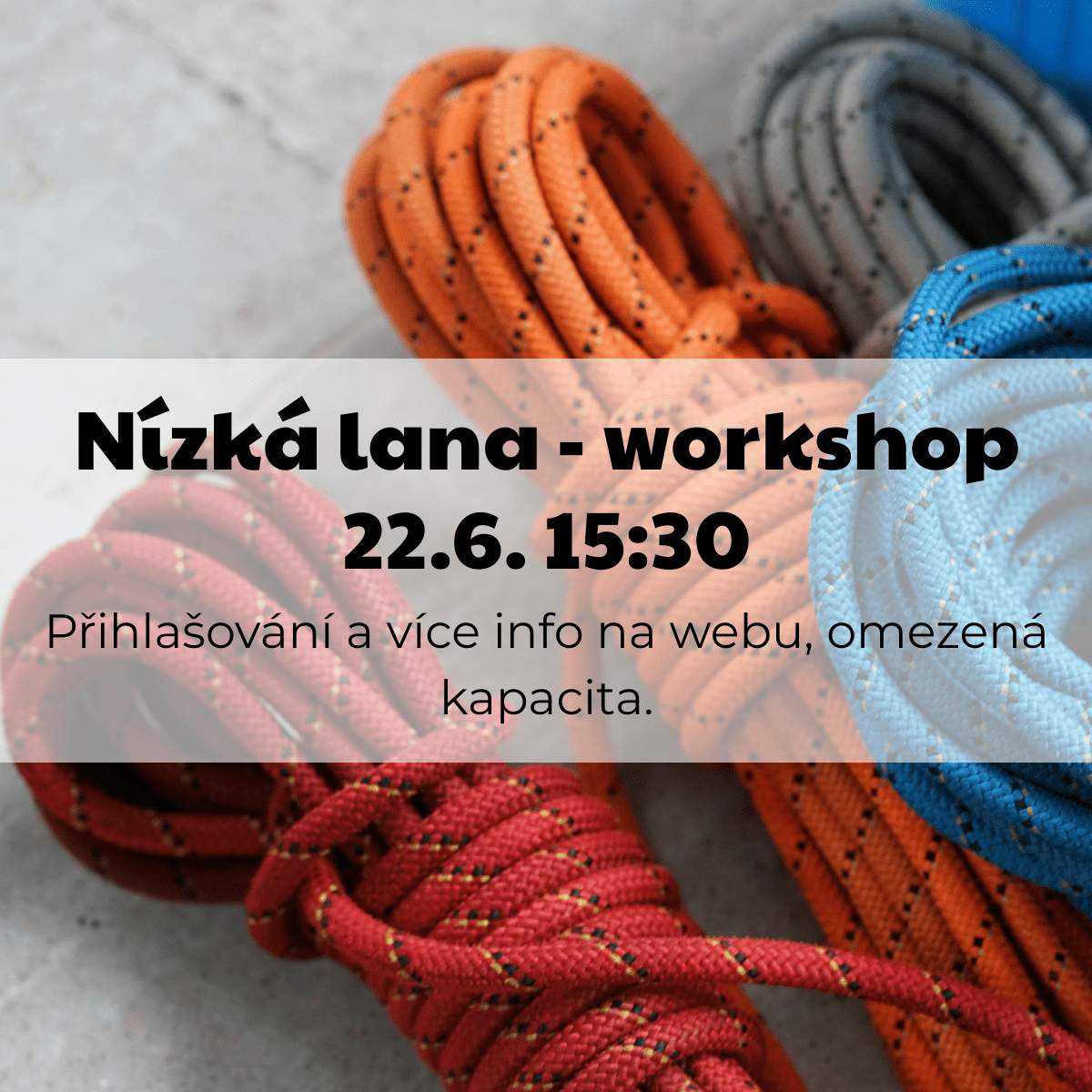 Workshop - nízká lana